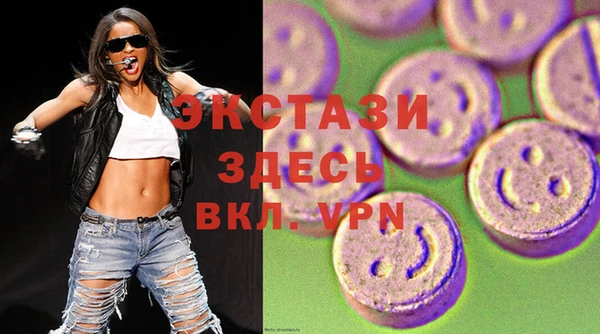 хмурый Аркадак