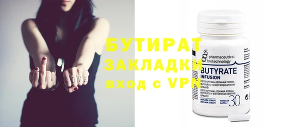хмурый Аркадак