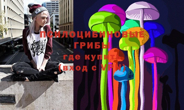первитин Алексеевка